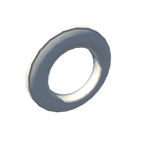 Swimming Ring